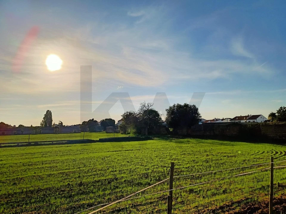 Terreno para Venda em Golegã Foto 1