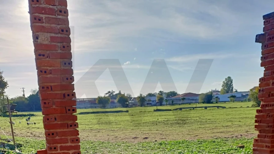 Terreno para Venda em Golegã Foto 7