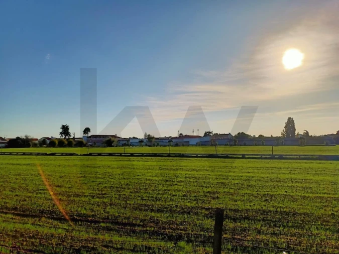 Terreno para Venda em Golegã Foto 5