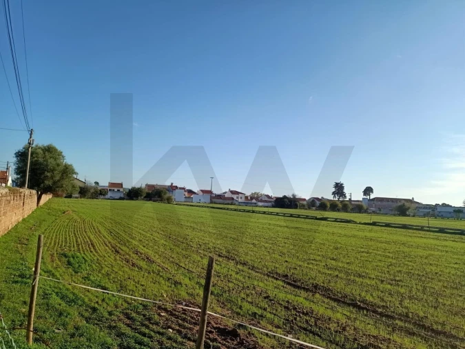 Terreno para Venda em Golegã Foto 14