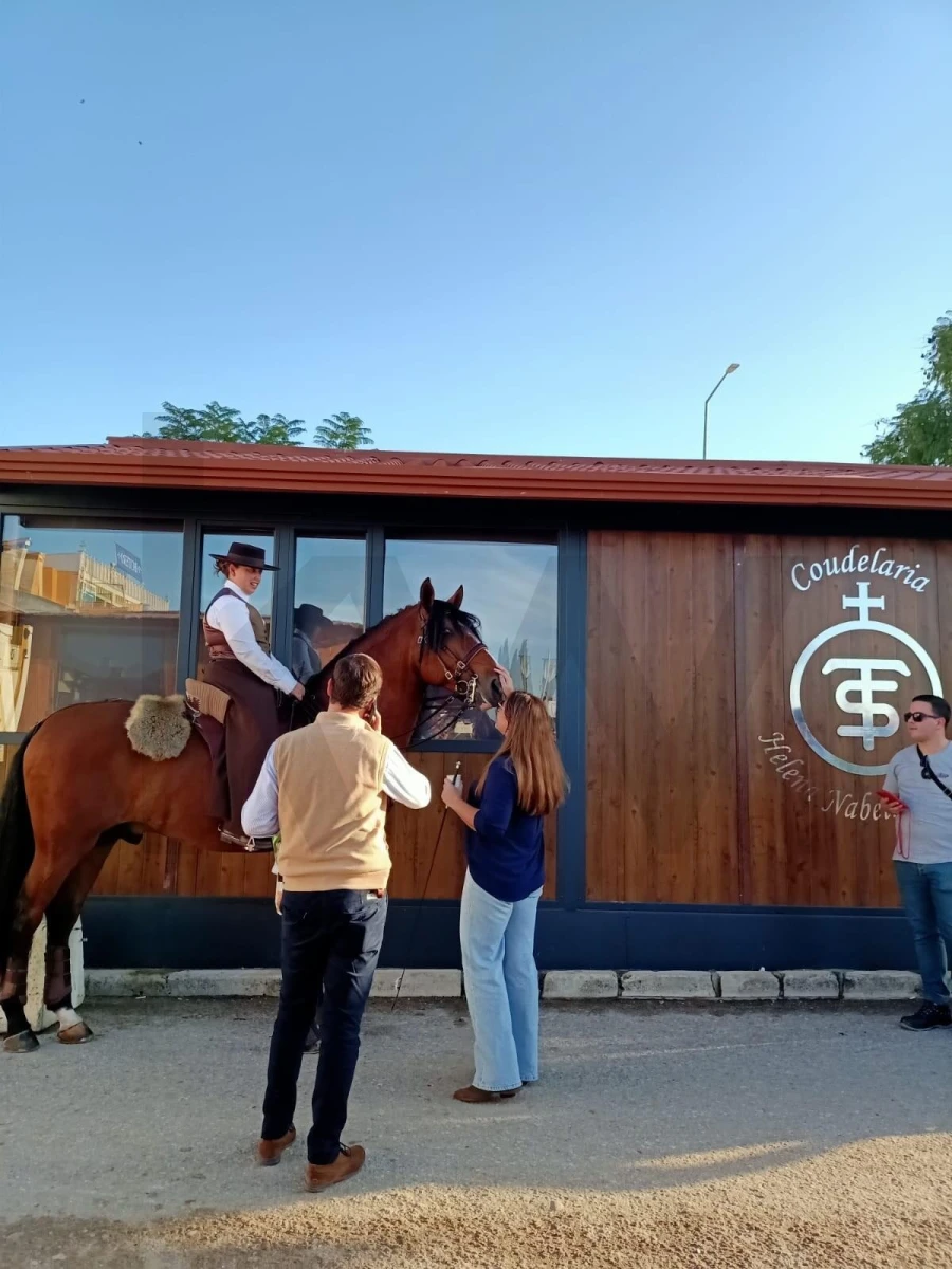 Terreno para Venda em Golegã Foto 8