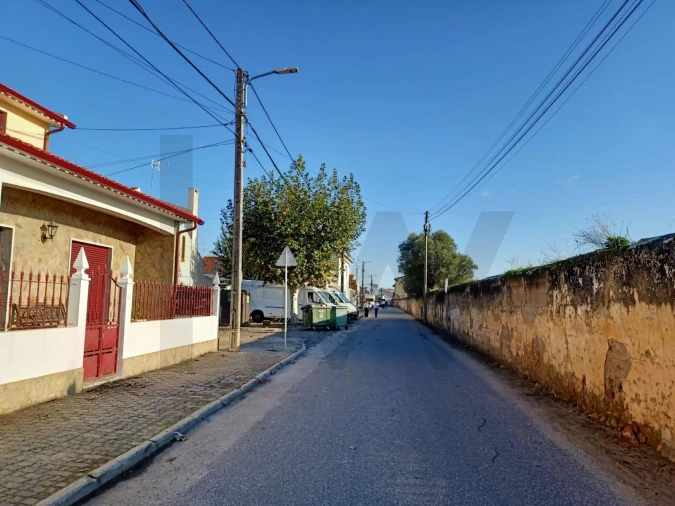 Terreno para Venda em Golegã Foto 10