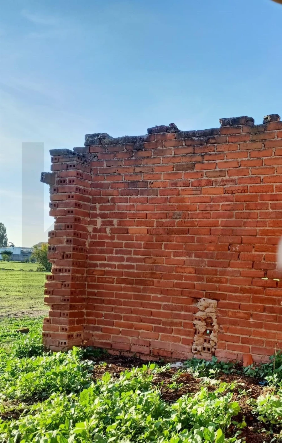 Terreno para Venda em Golegã Foto 12