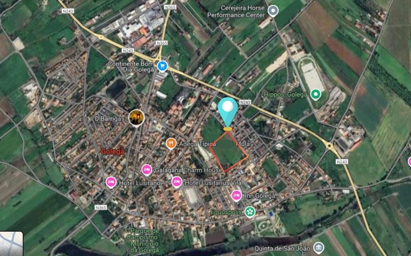 Terreno para Venda em Golegã Foto 2