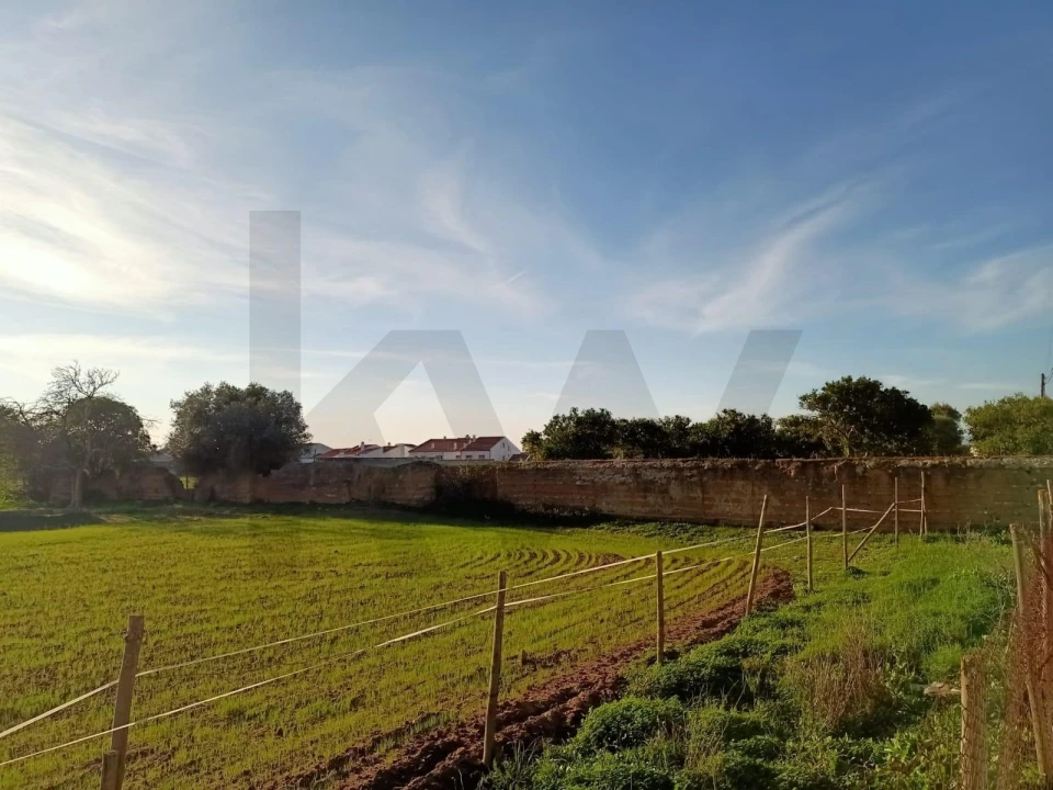 Terreno para Venda em Golegã Foto 6