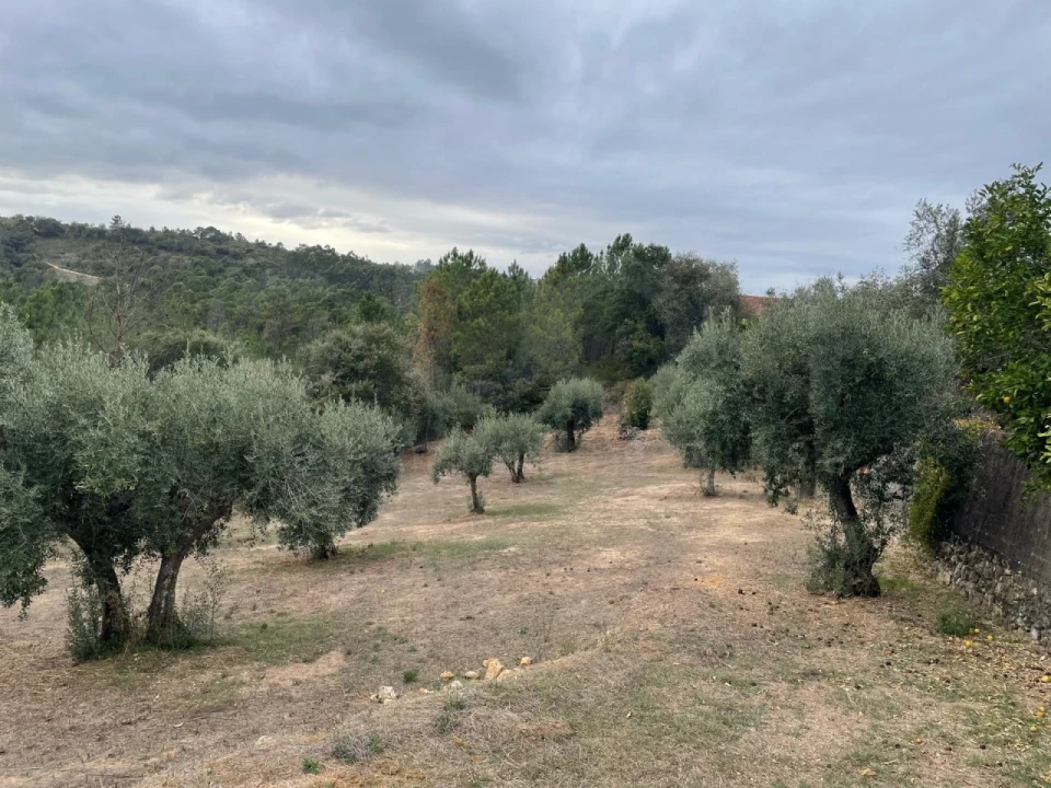 Terreno Misto para Venda em Sabacheira Foto 2