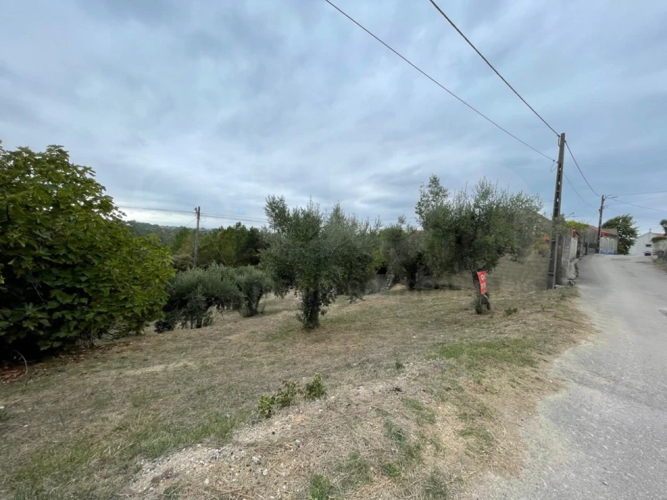 Terreno Misto para Venda em Sabacheira Foto 4