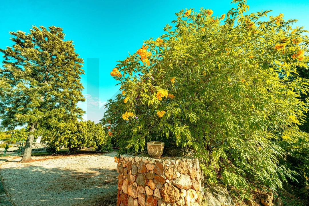 Moradia T4 para Venda em Mexilhoeira Grande Foto 63