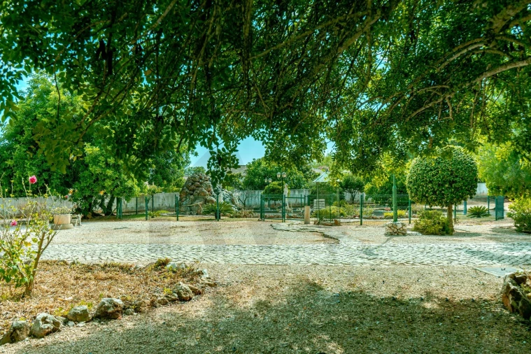 Moradia T4 para Venda em Mexilhoeira Grande Foto 61