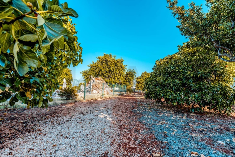 Moradia T4 para Venda em Mexilhoeira Grande Foto 60