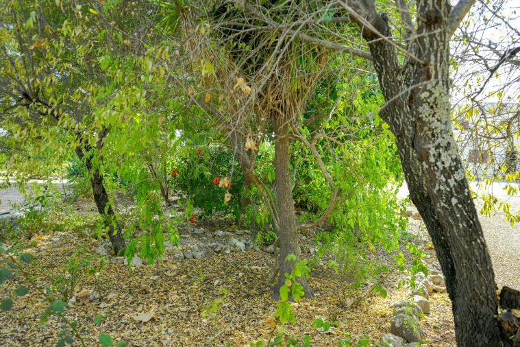 Moradia T4 para Venda em Mexilhoeira Grande Foto 59