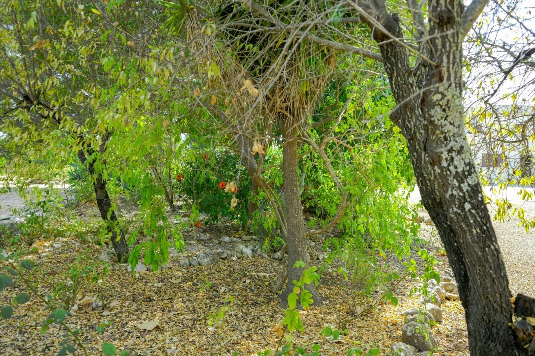 Moradia T4 para Venda em Mexilhoeira Grande Foto 59