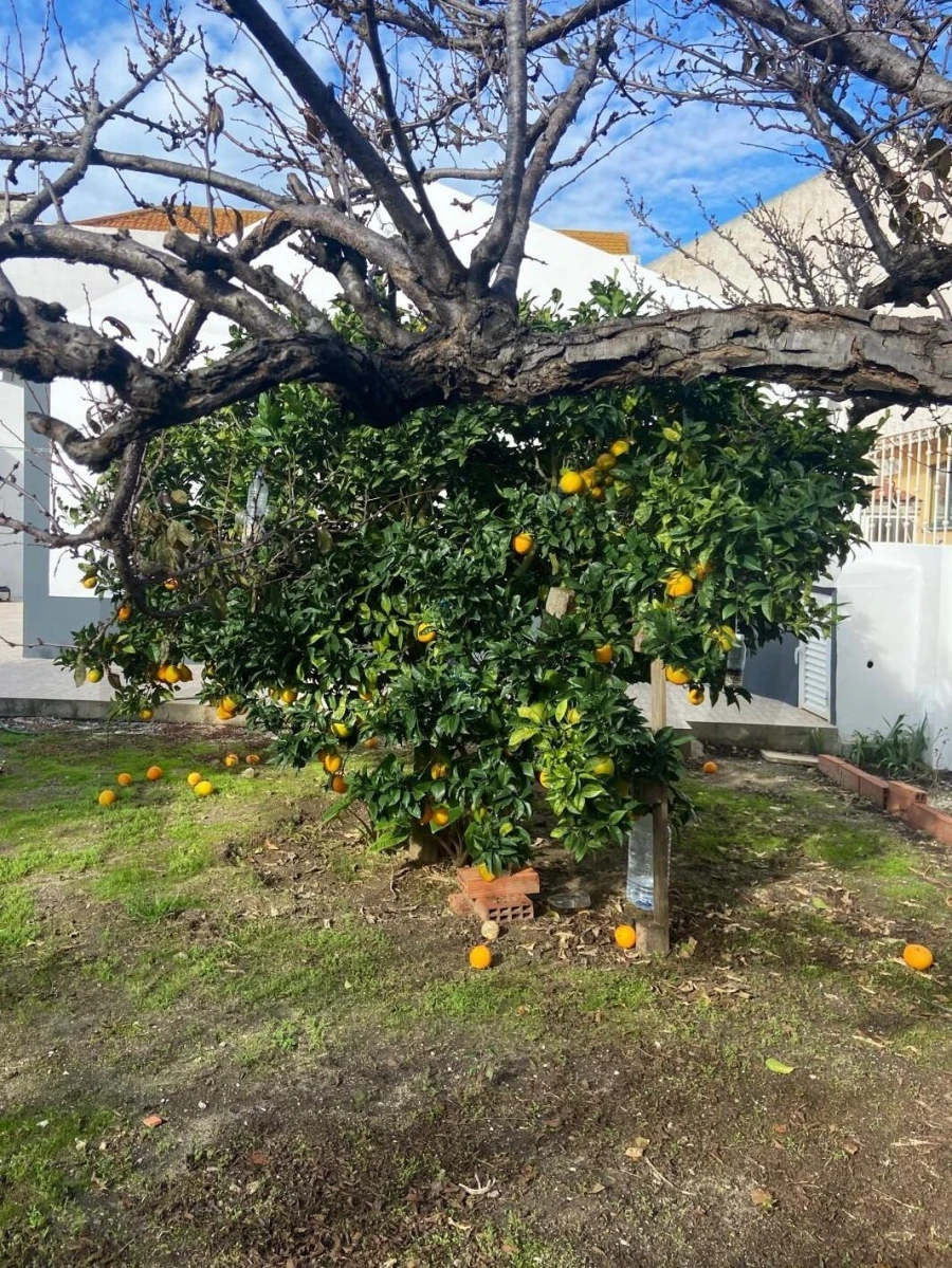 Moradia T2 para Venda em Silveira Foto 43