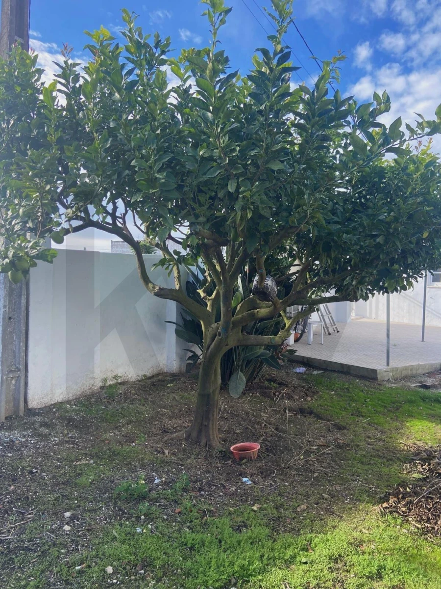 Moradia T2 para Venda em Silveira Foto 39