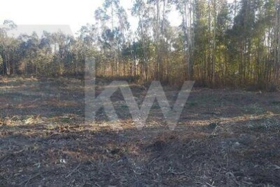 Terreno para Venda em Glória e Vera Cruz