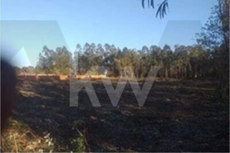 Terreno para Venda em Glória e Vera Cruz Foto 4