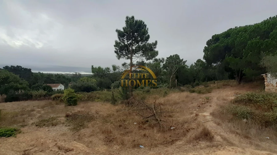 Moradia T3 para Venda em Sesimbra (Castelo) Foto 9