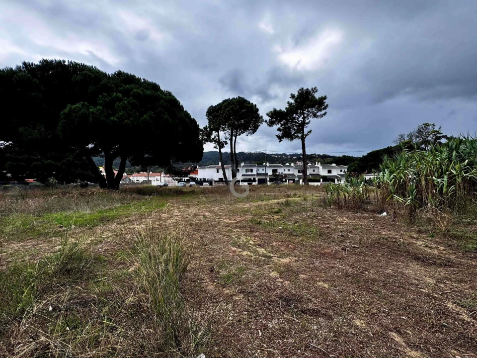 Terreno para Venda em Colares Foto 10