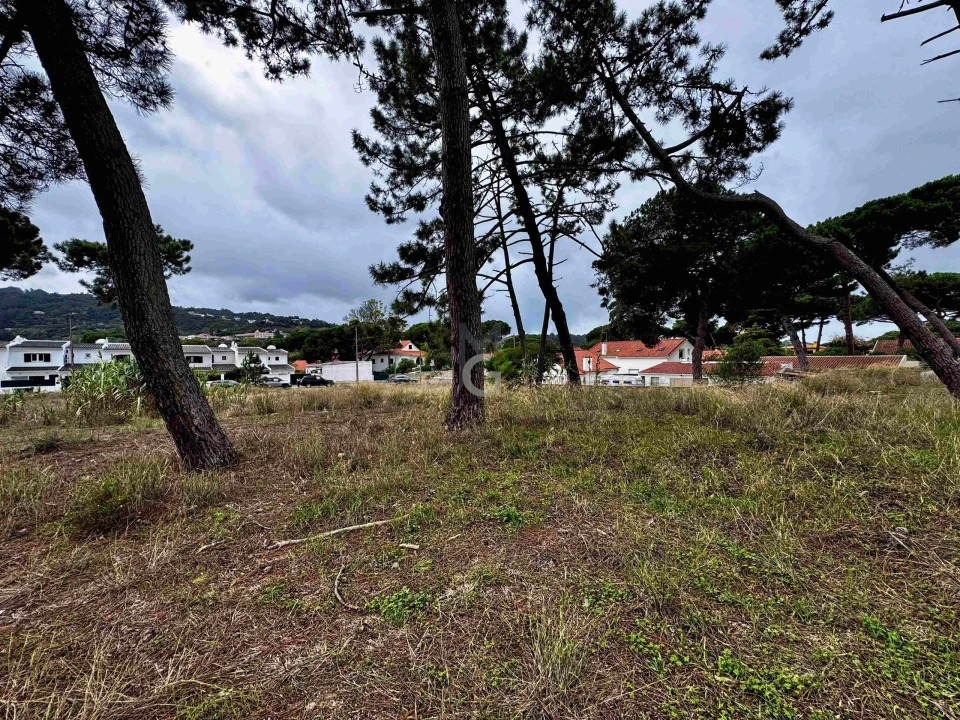 Terreno para Venda em Colares Foto 12