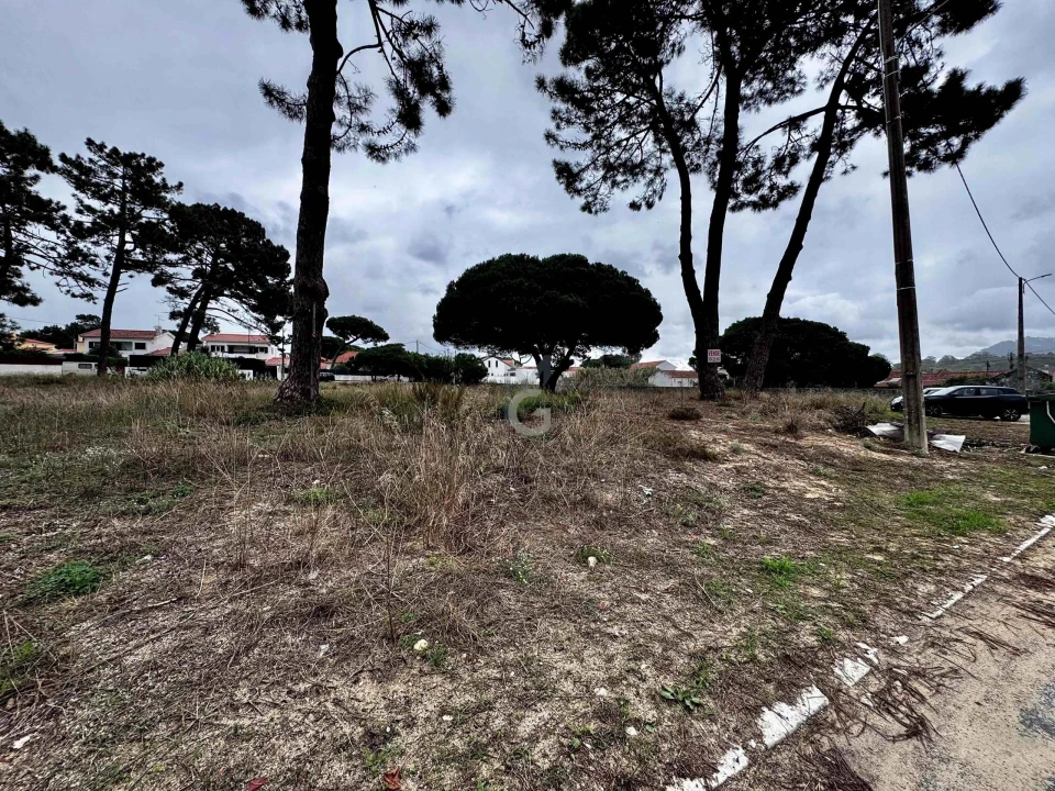 Terreno para Venda em Colares Foto 20