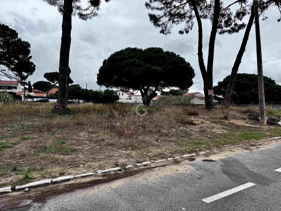 Terreno para Venda em Colares Foto 18