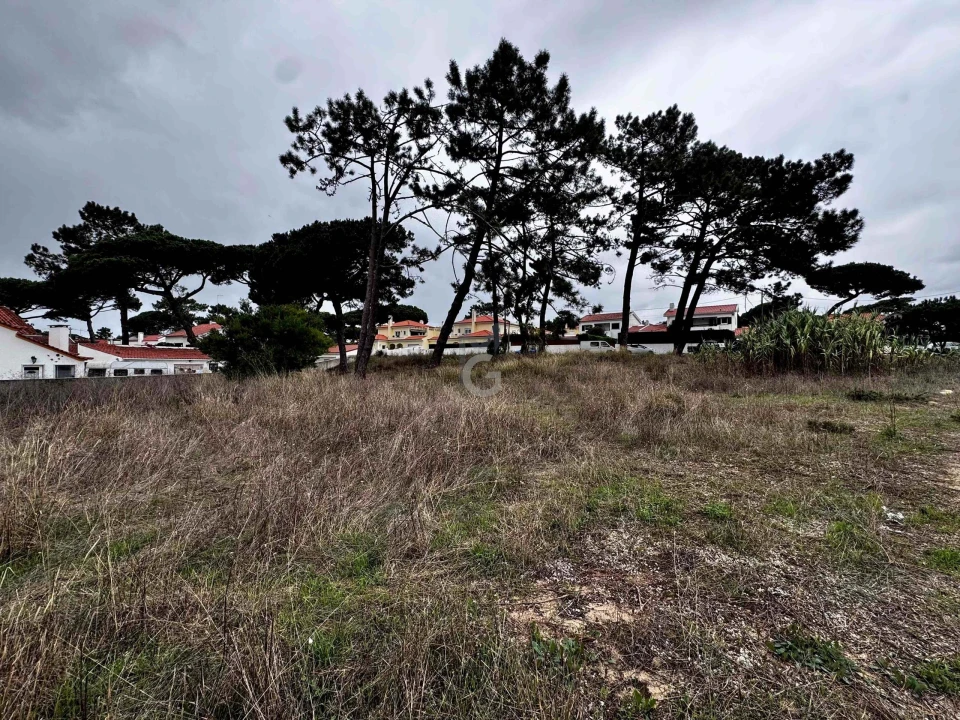 Terreno para Venda em Colares Foto 17