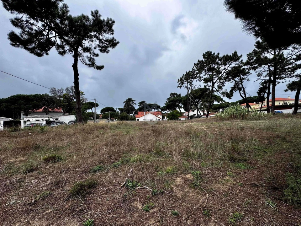 Terreno para Venda em Colares Foto 9