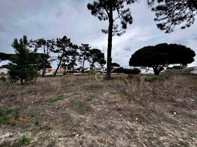 Terreno para Venda em Colares Foto 19