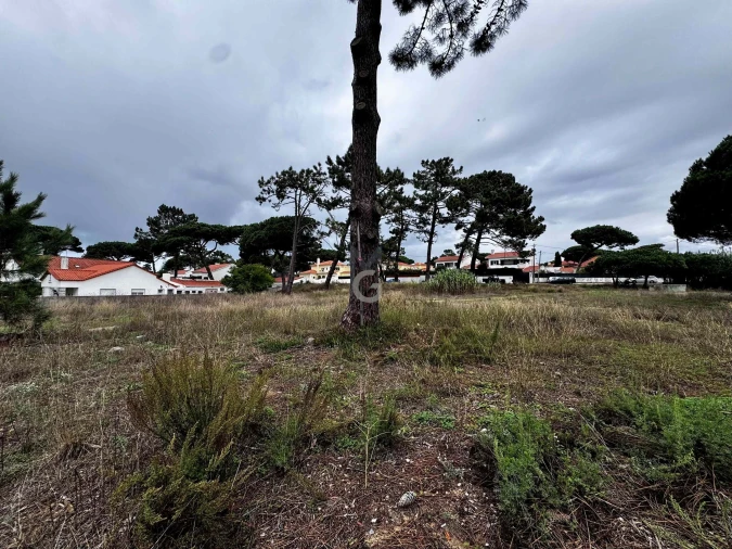 Terreno para Venda em Colares Foto 6