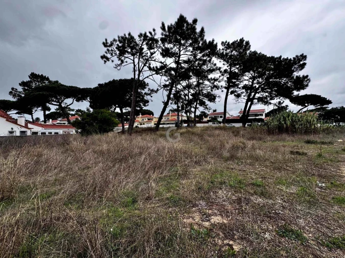 Terreno para Venda em Colares Foto 17