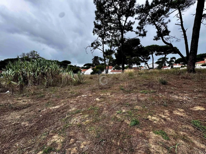 Terreno para Venda em Colares Foto 11