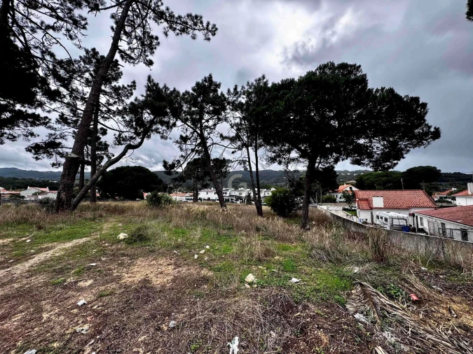 Terreno para Venda em Colares Foto 15