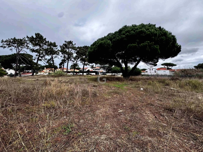 Terreno para Venda em Colares Foto 8