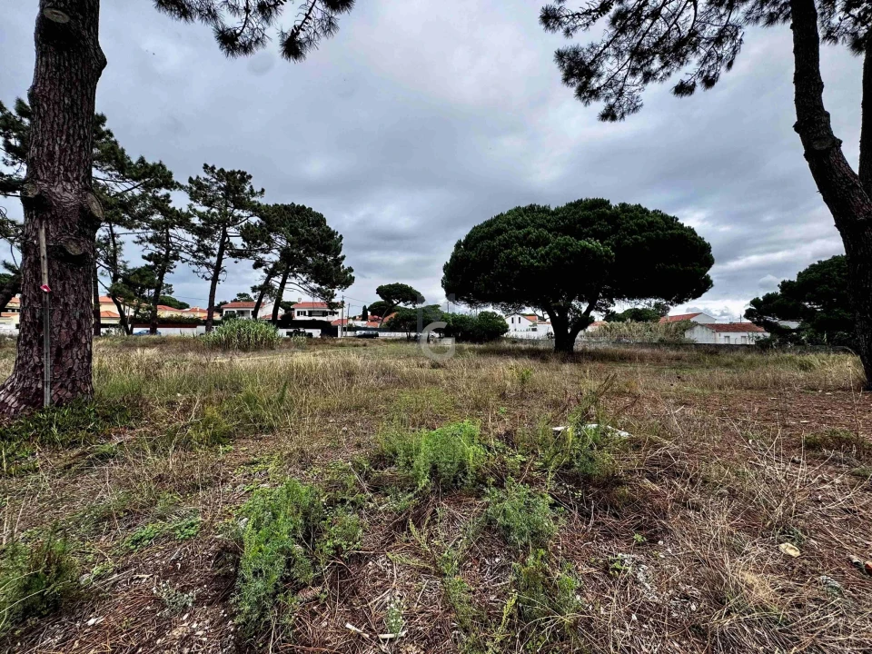 Terreno para Venda em Colares Foto 7
