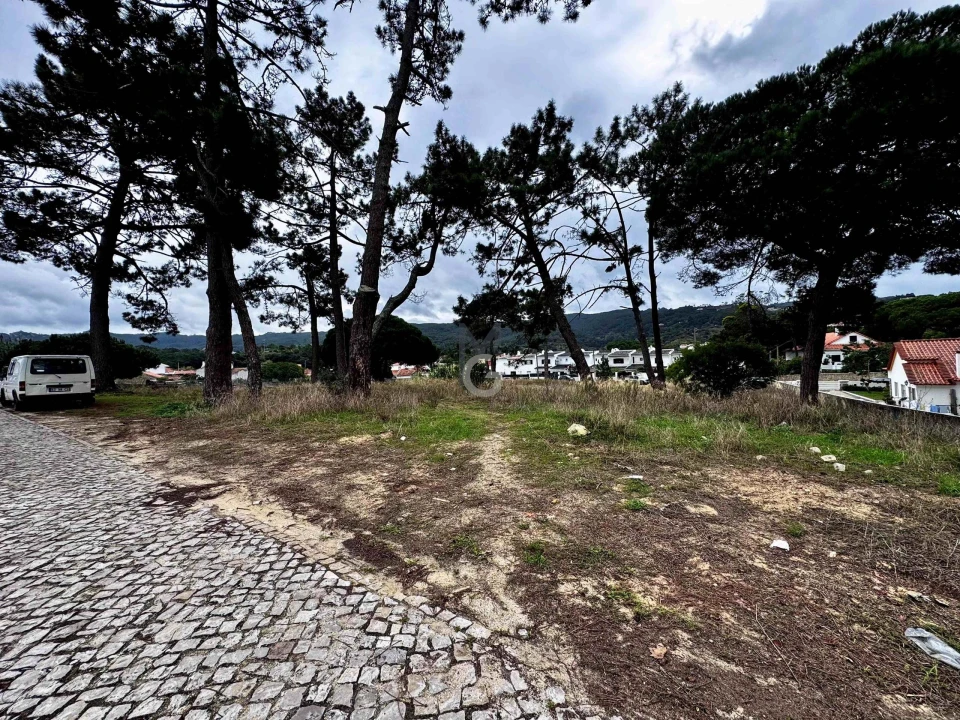 Terreno para Venda em Colares Foto 14