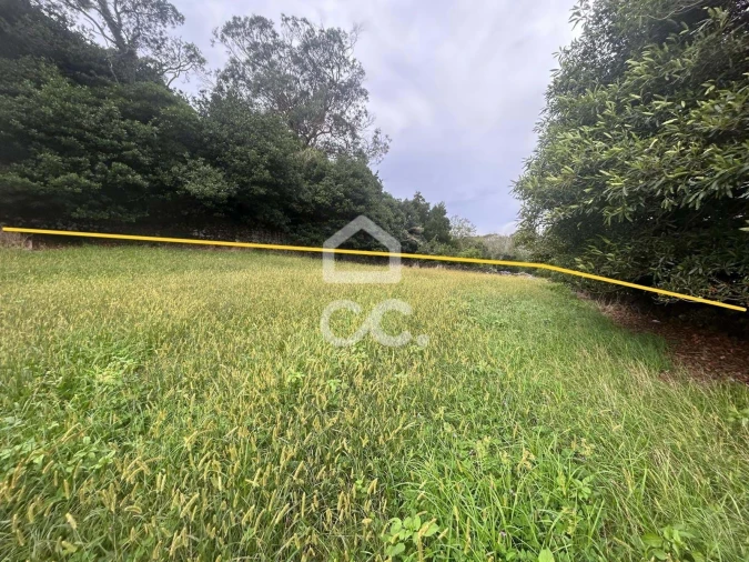 Terreno para Venda em Rosto do Cão (Livramento) Foto 3