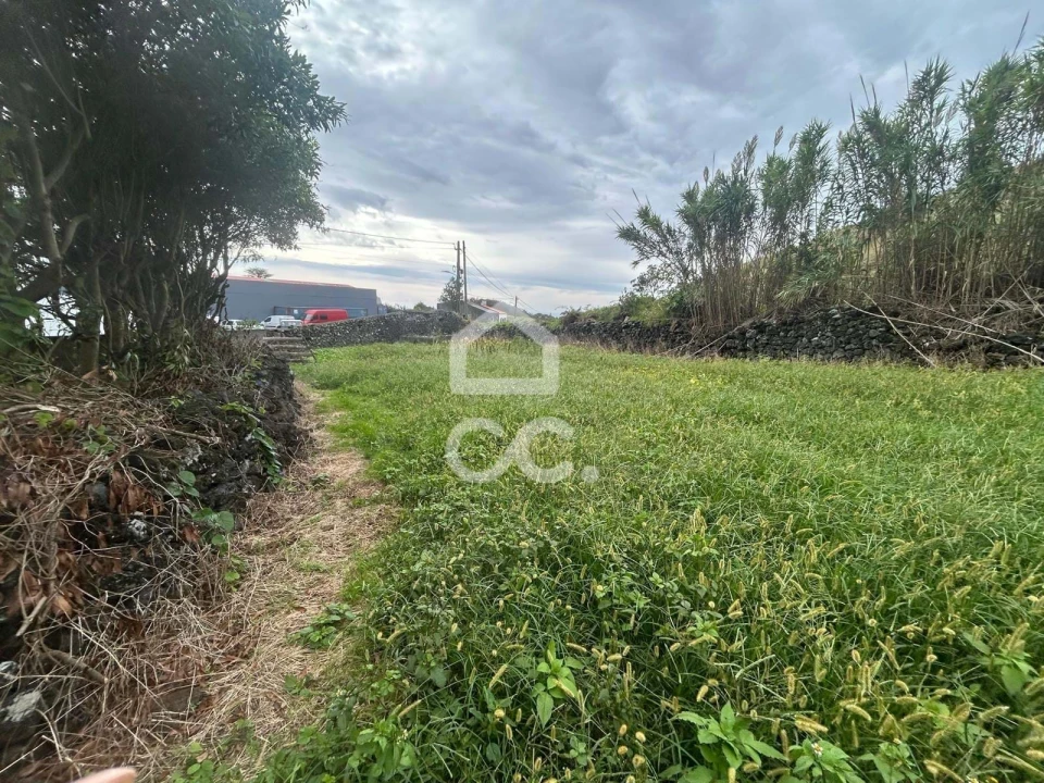 Terreno para Venda em Rosto do Cão (Livramento) Foto 8