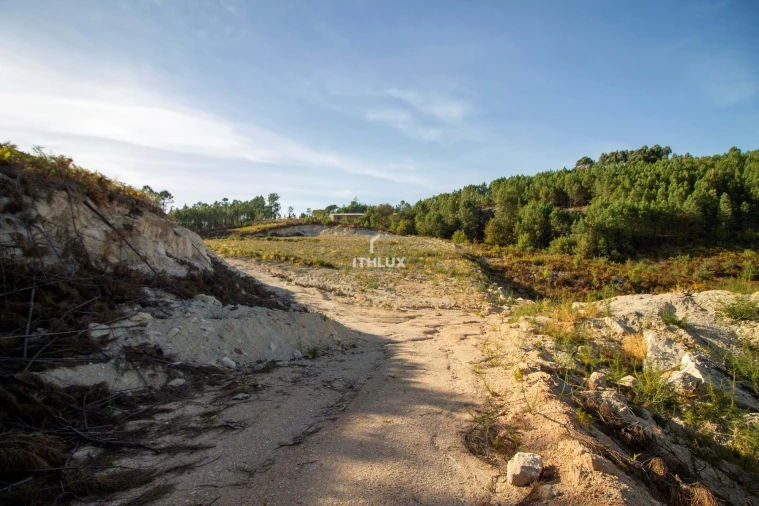 Terreno Agricola ou Rústico para Venda em Santos Evos Foto 7