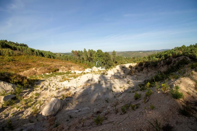 Terreno Agricola ou Rústico para Venda em Santos Evos Foto 6