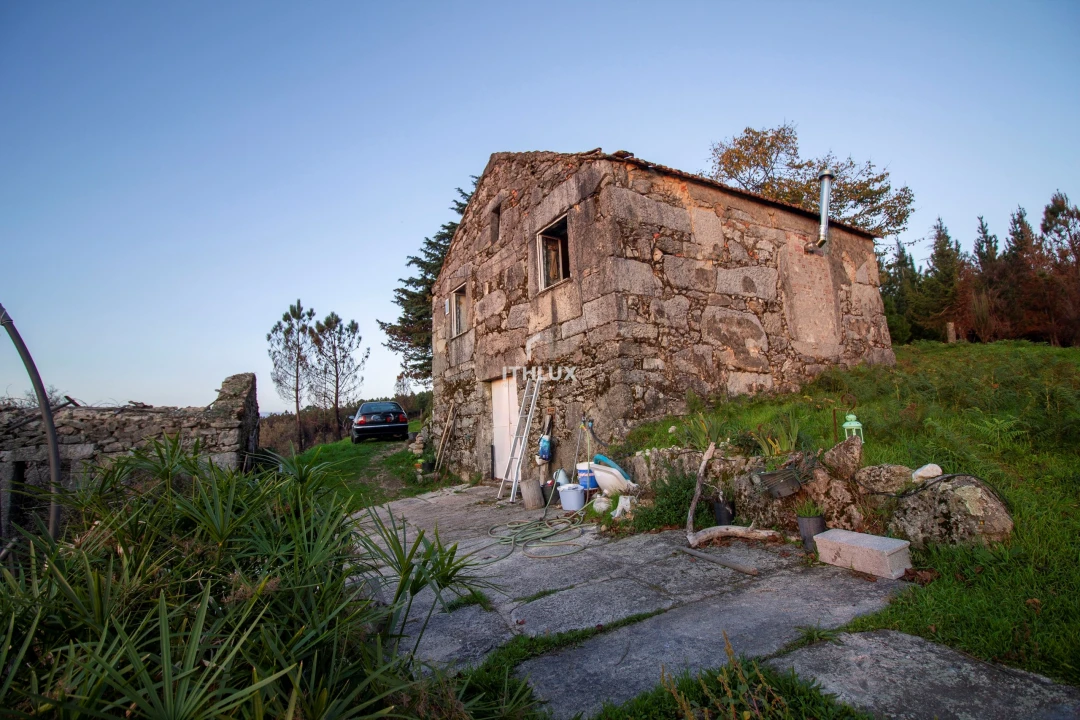 Quinta para Venda em Mangualde, Mesquitela e Cunha Alta Foto 11