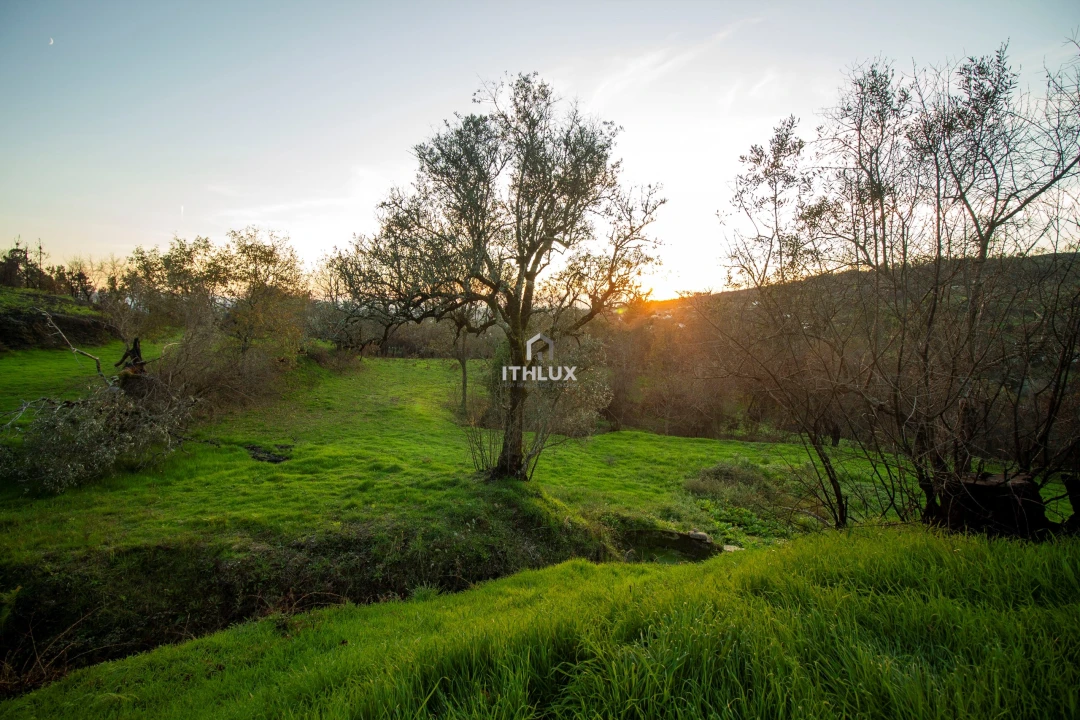 Quinta para Venda em Mangualde, Mesquitela e Cunha Alta Foto 9