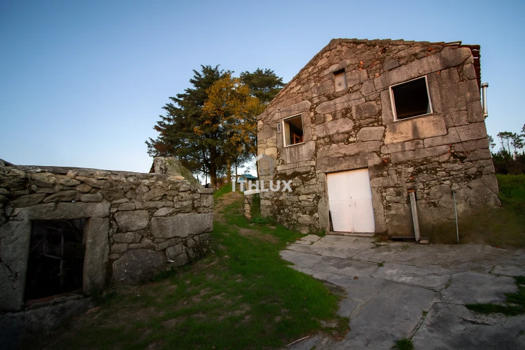 Quinta para Venda em Mangualde, Mesquitela e Cunha Alta