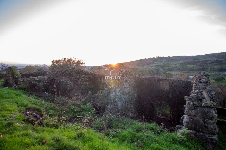 Quinta para Venda em Mangualde, Mesquitela e Cunha Alta Foto 6