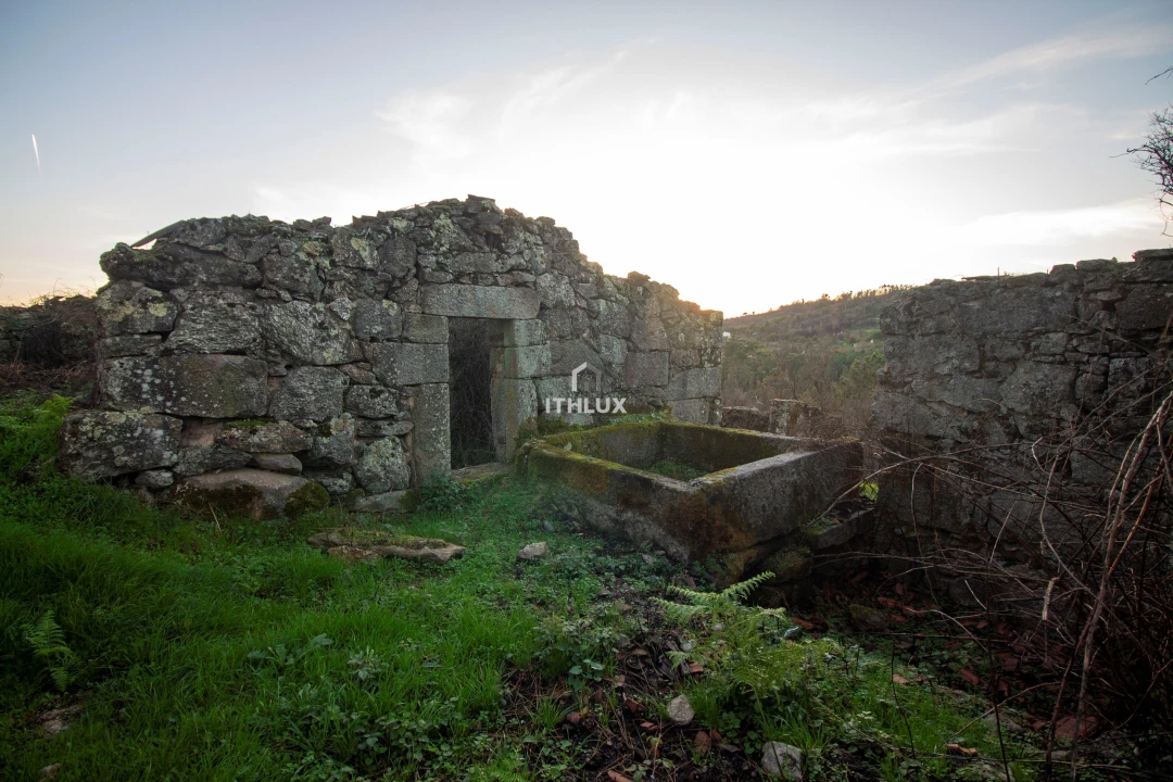 Quinta para Venda em Mangualde, Mesquitela e Cunha Alta Foto 5