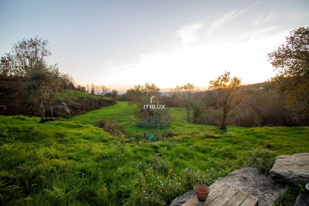 Quinta para Venda em Mangualde, Mesquitela e Cunha Alta Foto 7