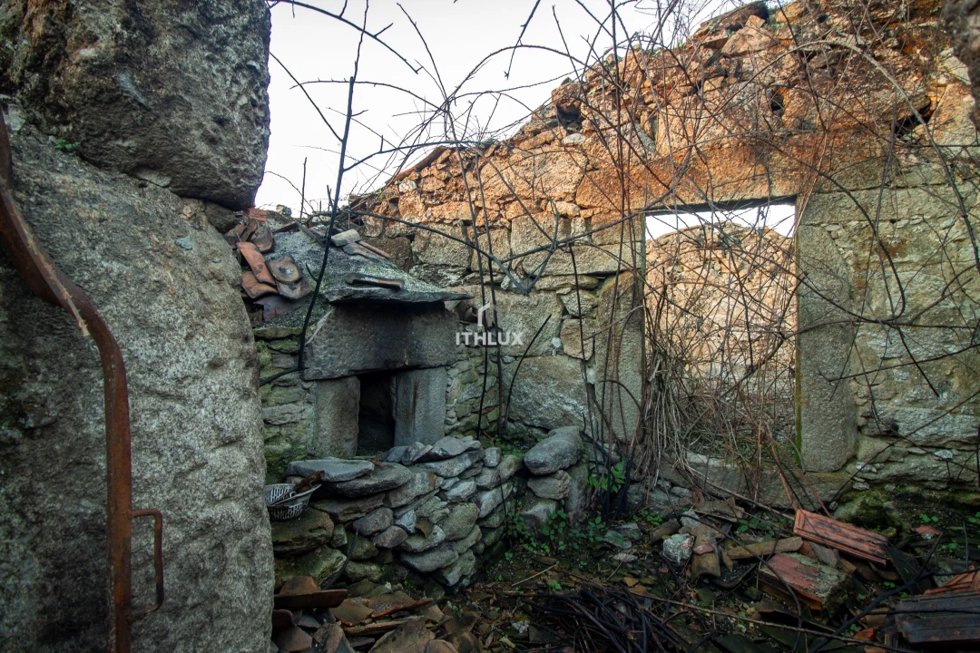 Quinta para Venda em Mangualde, Mesquitela e Cunha Alta Foto 8