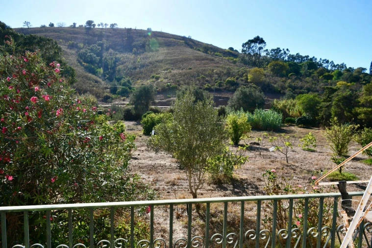 Quinta T3 para Venda em Mexilhoeira Grande Foto 6