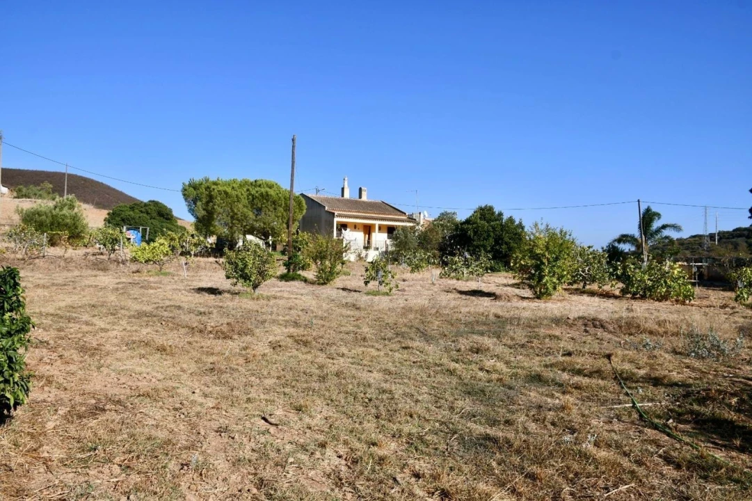 Quinta T3 para Venda em Mexilhoeira Grande Foto 8