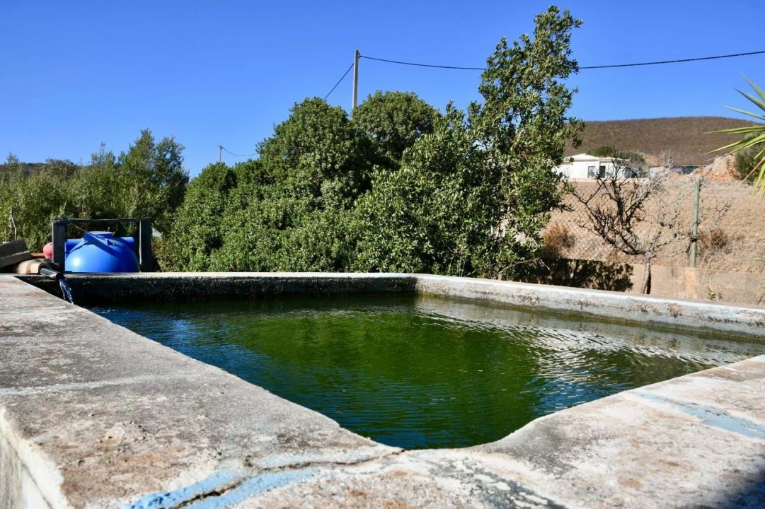 Quinta T3 para Venda em Mexilhoeira Grande Foto 13