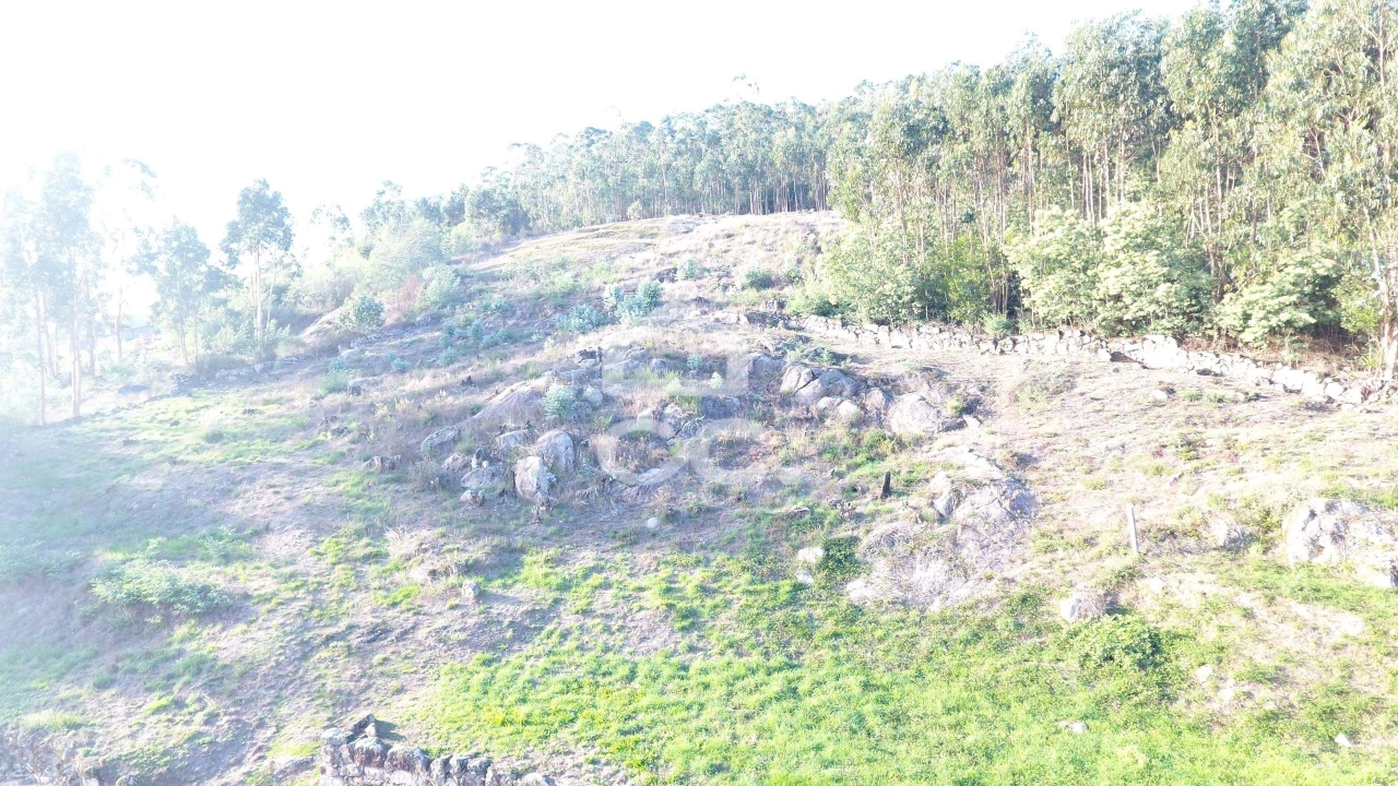 Terreno para Venda em Baltar Foto 14